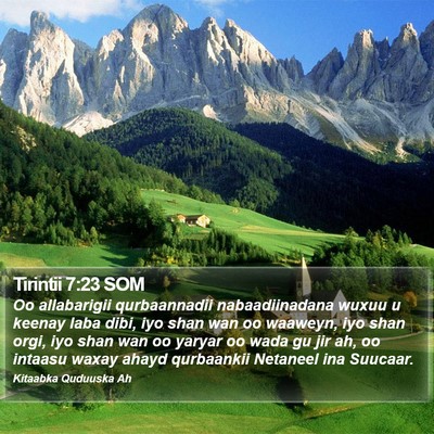 Tirintii 7:23 SOM Bible Verse Image