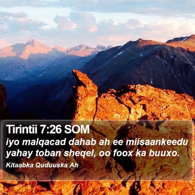 Tirintii 7:26 SOM Bible Verse Image