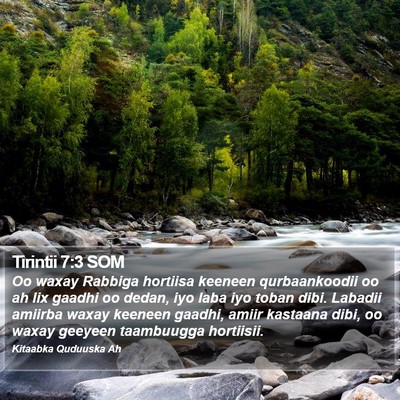 Tirintii 7:3 SOM Bible Verse Image