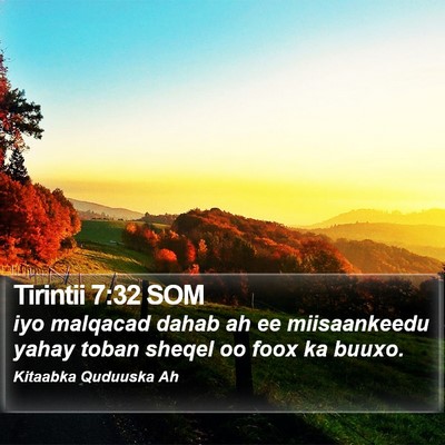 Tirintii 7:32 SOM Bible Verse Image