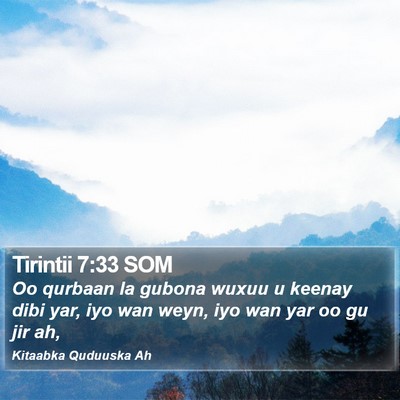 Tirintii 7:33 SOM Bible Verse Image