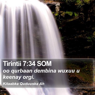 Tirintii 7:34 SOM Bible Verse Image