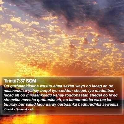 Tirintii 7:37 SOM Bible Verse Image