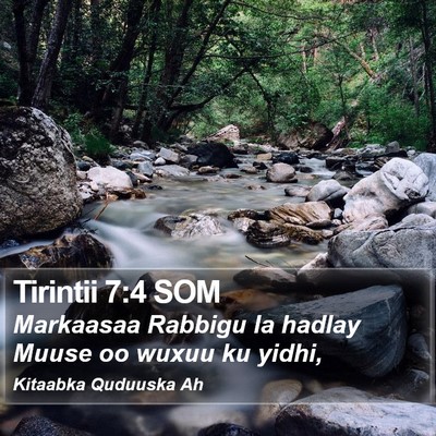 Tirintii 7:4 SOM Bible Verse Image