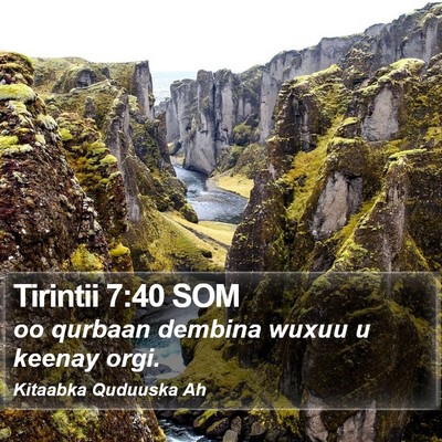 Tirintii 7:40 SOM Bible Verse Image