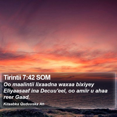Tirintii 7:42 SOM Bible Verse Image