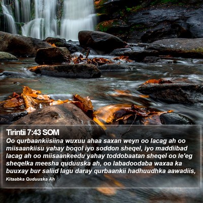 Tirintii 7:43 SOM Bible Verse Image