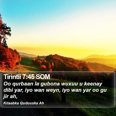 Tirintii 7:45 SOM Bible Verse Image