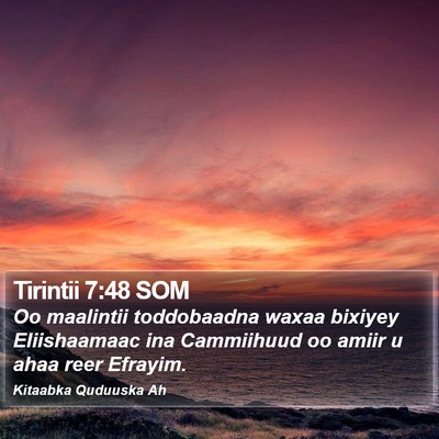 Tirintii 7:48 SOM Bible Verse Image