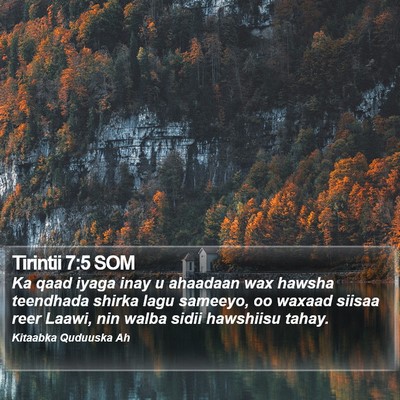 Tirintii 7:5 SOM Bible Verse Image