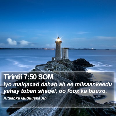 Tirintii 7:50 SOM Bible Verse Image