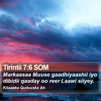 Tirintii 7:6 SOM Bible Verse Image