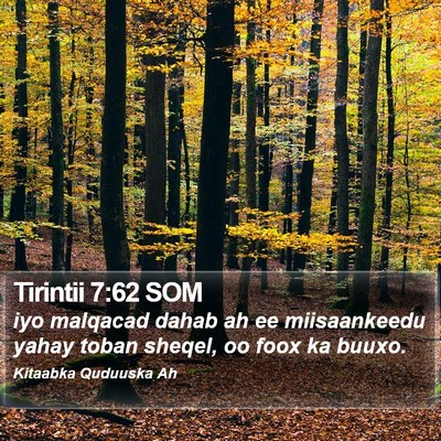 Tirintii 7:62 SOM Bible Verse Image