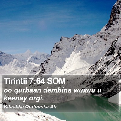 Tirintii 7:64 SOM Bible Verse Image