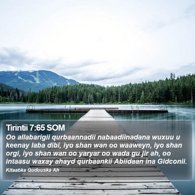 Tirintii 7:65 SOM Bible Verse Image