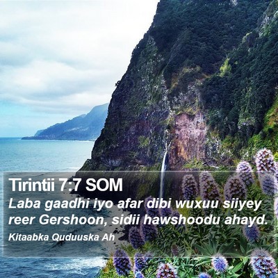 Tirintii 7:7 SOM Bible Verse Image