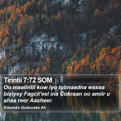 Tirintii 7:72 SOM Bible Verse Image