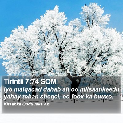 Tirintii 7:74 SOM Bible Verse Image