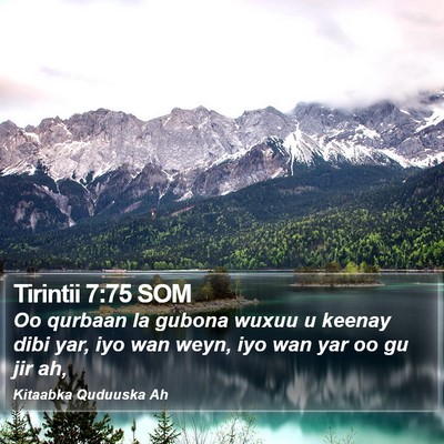 Tirintii 7:75 SOM Bible Verse Image