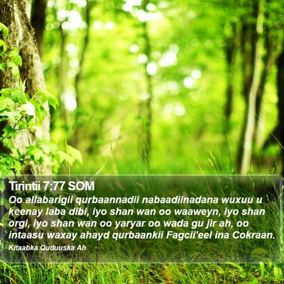 Tirintii 7:77 SOM Bible Verse Image