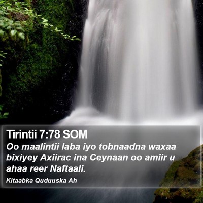 Tirintii 7:78 SOM Bible Verse Image