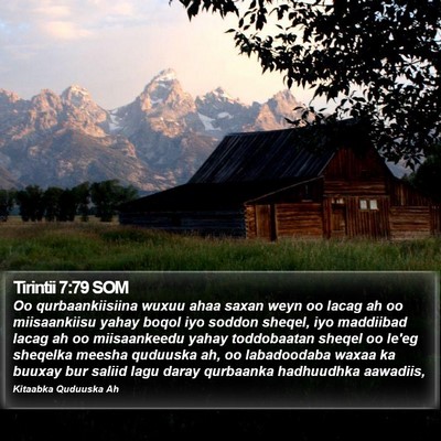 Tirintii 7:79 SOM Bible Verse Image