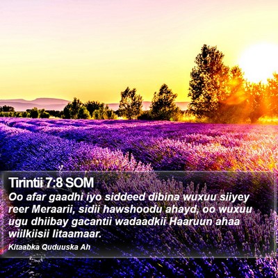 Tirintii 7:8 SOM Bible Verse Image