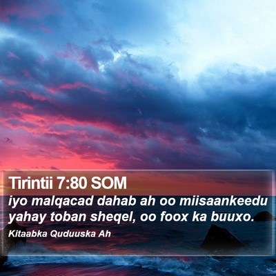 Tirintii 7:80 SOM Bible Verse Image