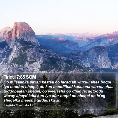 Tirintii 7:85 SOM Bible Verse Image
