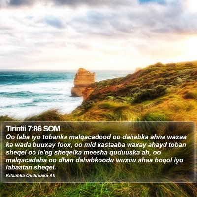 Tirintii 7:86 SOM Bible Verse Image