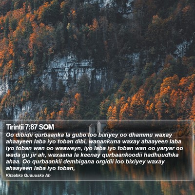 Tirintii 7:87 SOM Bible Verse Image