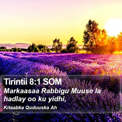 Tirintii 8:1 SOM Bible Verse Image