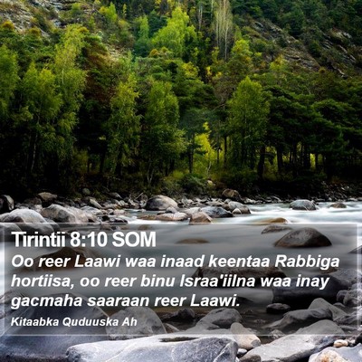 Tirintii 8:10 SOM Bible Verse Image