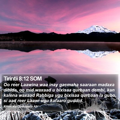 Tirintii 8:12 SOM Bible Verse Image