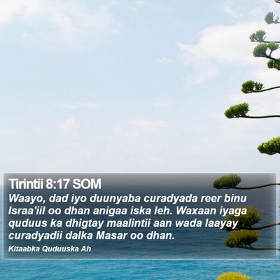 Tirintii 8:17 SOM Bible Verse Image
