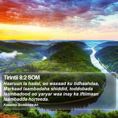 Tirintii 8:2 SOM Bible Verse Image