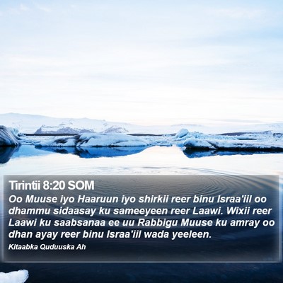 Tirintii 8:20 SOM Bible Verse Image
