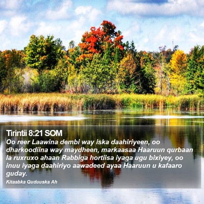 Tirintii 8:21 SOM Bible Verse Image