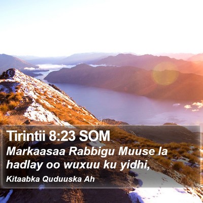 Tirintii 8:23 SOM Bible Verse Image