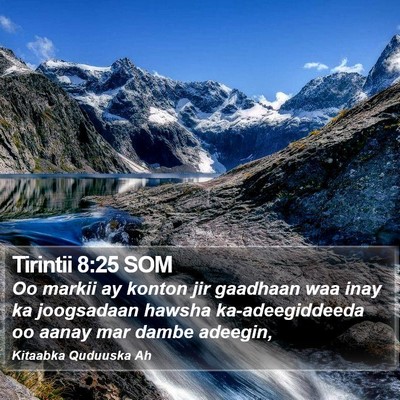 Tirintii 8:25 SOM Bible Verse Image