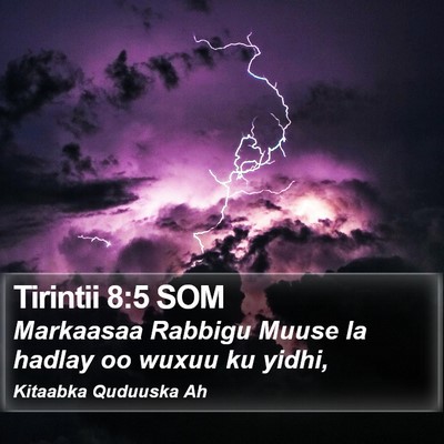 Tirintii 8:5 SOM Bible Verse Image