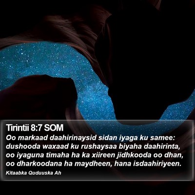 Tirintii 8:7 SOM Bible Verse Image