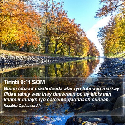 Tirintii 9:11 SOM Bible Verse Image