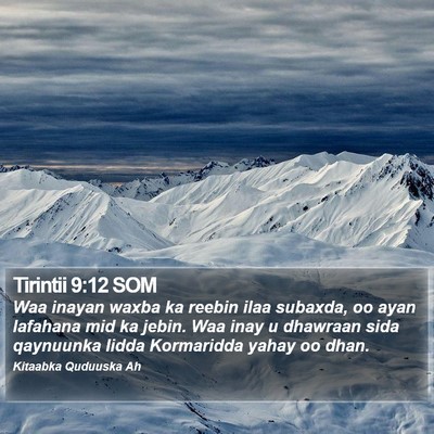 Tirintii 9:12 SOM Bible Verse Image