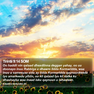 Tirintii 9:14 SOM Bible Verse Image