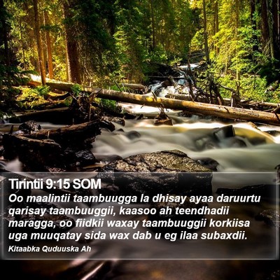 Tirintii 9:15 SOM Bible Verse Image