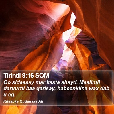 Tirintii 9:16 SOM Bible Verse Image