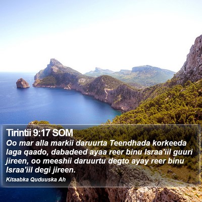 Tirintii 9:17 SOM Bible Verse Image