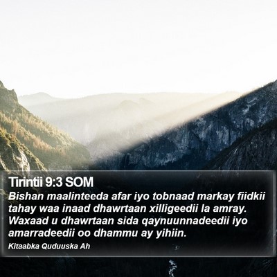 Tirintii 9:3 SOM Bible Verse Image