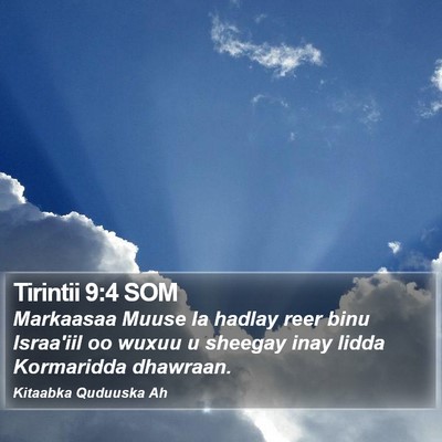 Tirintii 9:4 SOM Bible Verse Image